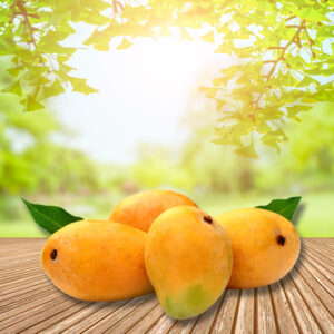 SB Chaunsa Mango